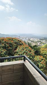 Image of 1200 Sq.ft 2 BHK Apartment / Flat for sale in DSK Vishwa, Dhayari, Pune for Rs. 6600000