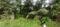 Edappally Main Image 1