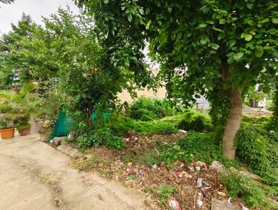Shrinath palace Nipania Plot View 1