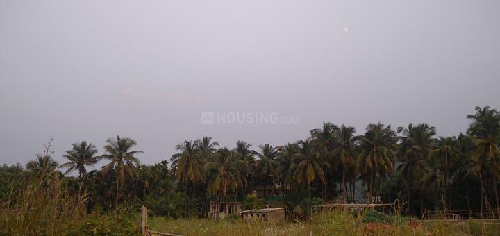 Korlai Main Image 1