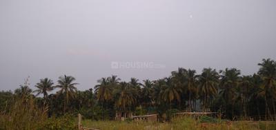 Image of 80000 Sq.ft Residential Plot / Land for sale in Korlai, Alibag for Rs. 56000000