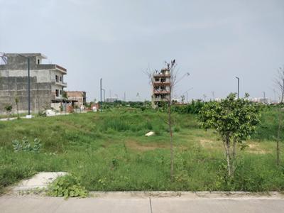 Amolik Aster Woods Plot View 1