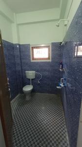 Bathroom Image of 2000 Sq.ft 2.5 BHK Apartment / Flat for rent in Chhaygaon Kamrup for Rs. 15000