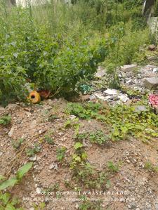 Image of 1200 Sq.ft Residential Plot / Land for sale in BTM Layout, Bengaluru for Rs. 22500000