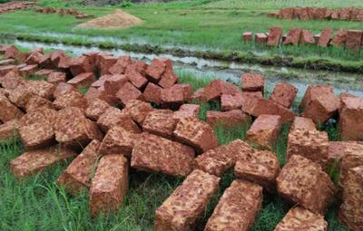 Image of 1500 Sq.ft Residential Plot / Land for sale in Benupur, Bhubaneswar for Rs. 3450000