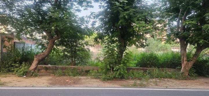 Gulmohar Estate Main Image 1