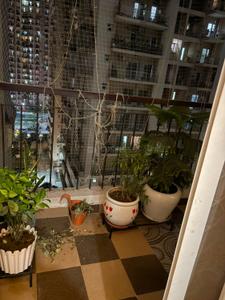 Balcony Image of 1575 Sq.ft 3 BHK Apartment / Flat for sale in Aigin Royal Phase 4, Noida Extension Greater Noida for Rs. 15000000