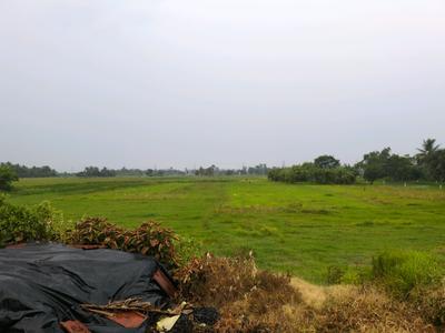 Golden city 2 plot Plot View 1
