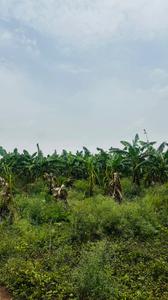 Image of 5000 Sq.ft Residential Plot / Land for sale in Kapasda, Durg for Rs. 2875000