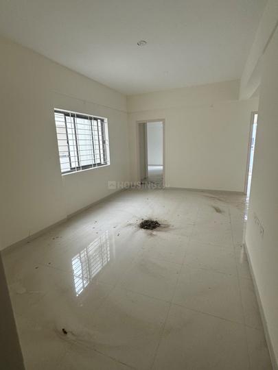 DS Max Sista Nest Main Image 1