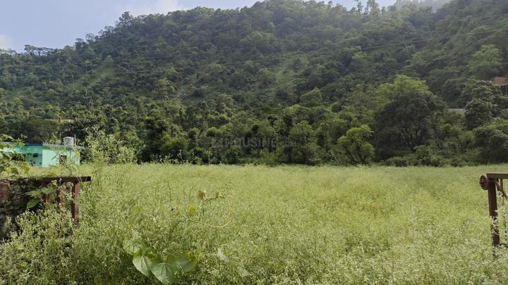 Residential 2700 Sqft Plot for sale at Sahastradhara, | Property ID ...
