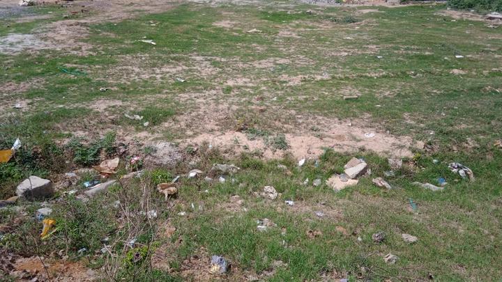 Soha Neal City Main Image 1