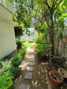 Balcony Image of 8000 Sq.ft 3.5 BHK Builder Floor for rent in Hauz Khas New Delhi for Rs. 325000