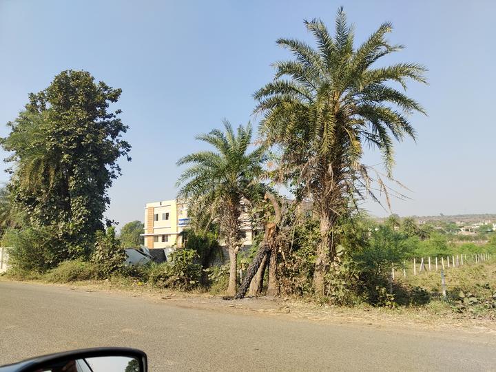 Bhojpur Mandir Road Main Image 1