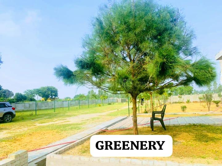 Residential 800 Sqft Plot for sale at Arjunganj, Lucknow Property ID