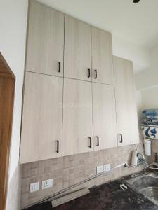 Kitchen Image of 585 Sq.ft 1 BHK Studio for sale in Amrapali Dream Valley, Noida Extension Greater Noida for Rs. 4000000