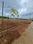 Yesh Prakruthi Main Image 1