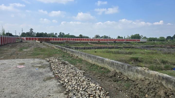 baake bihari Main Image 1