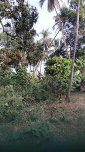 Image of 3700 Sq.ft Residential Plot / Land for sale in Aldona, Goa for Rs. 166500000