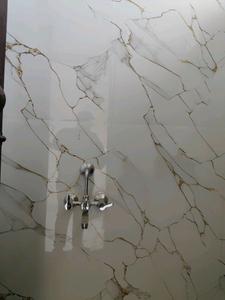 Common Bathroom Image of 820 Sq.ft 2 BHK Villa for sale in Puzhal Chennai for Rs. 4590000