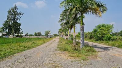 Image of 9000 Sq.ft Residential Plot / Land for sale in Datrenga, Raipur for Rs. 3990000