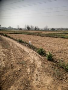 Image of 1200 Sq.ft Residential Plot / Land for sale in Danapur, Patna for Rs. 3200000