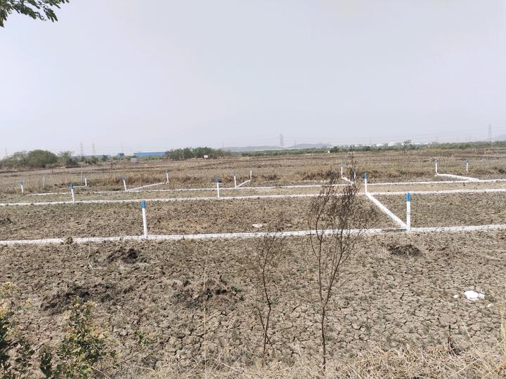 Vindhane Main Image 1