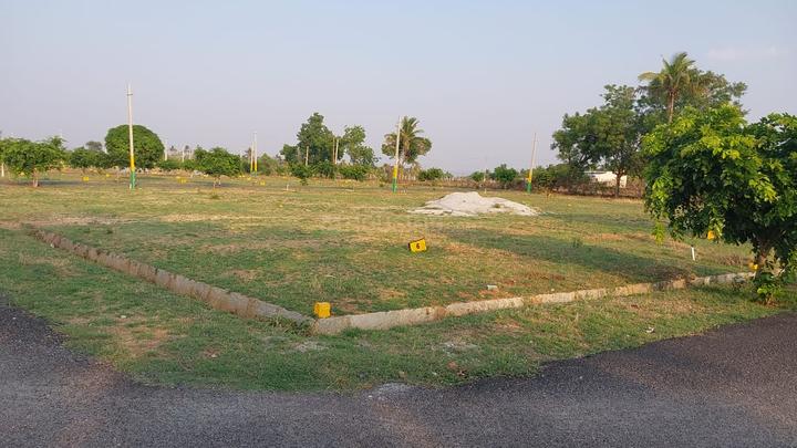 Bannerughatta Main Image 1