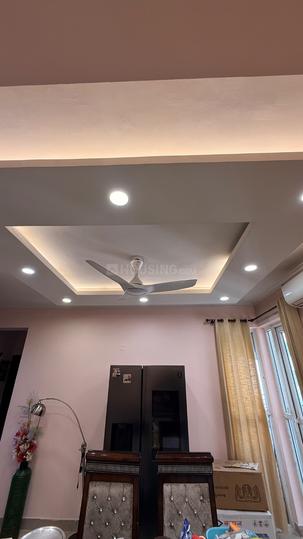 Orchid Petals Main Image 1