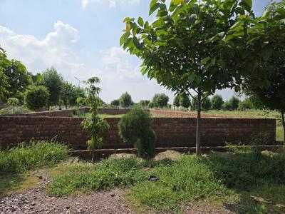Image of 740 Sq.ft Residential Plot / Land for sale in Jait, Vrindavan for Rs. 1501000