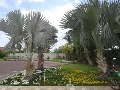 Image of 2760 Sq.ft Residential Plot / Land for sale in Swastik Kalpvriksh, Old Dhamtari Road, Raipur for Rs. 4140000