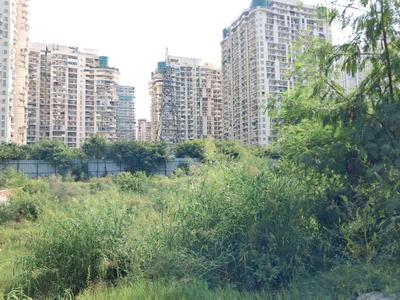 Image of 2250 Sq.ft Residential Plot / Land for sale in Centrum Estates 76, Sector 76, Noida for Rs. 49200000