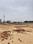 Ral Plot View 2