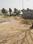 RR AR Main Image 1
