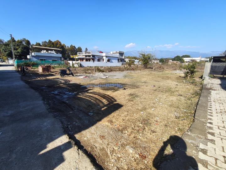 Phulsani Main Image 1