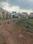 Dharitri New Royal Enclave Internal Roads 1