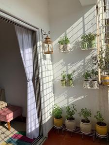Balcony Image of Flatmate Accomodation in Banaswadi, Bengaluru