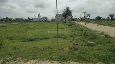Approved plot in just 20 lakh Plot View 2