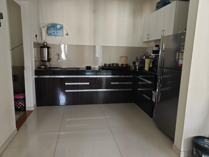 Pegasus Megapolis Mystic Main Image 1