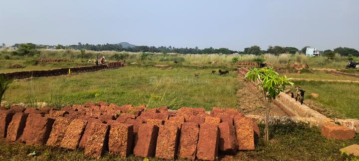 Sundarpada Main Image 1