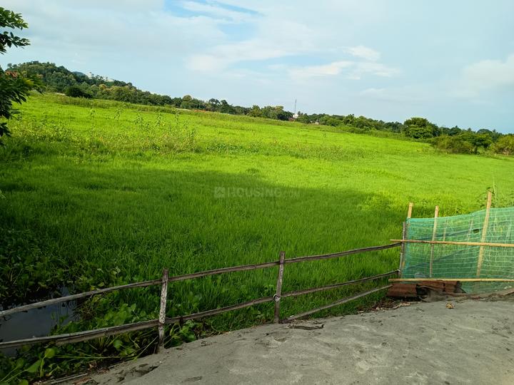 Baruah Souk, North Guwahati Main Image 1