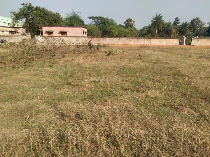 Atala Main Image 1