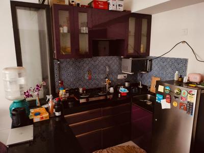 Kitchen Image of 524 Sq.ft 1 BHK Apartment / Flat for rent in Lodha Quality Home Tower 5, Thane West Thane for Rs. 26000