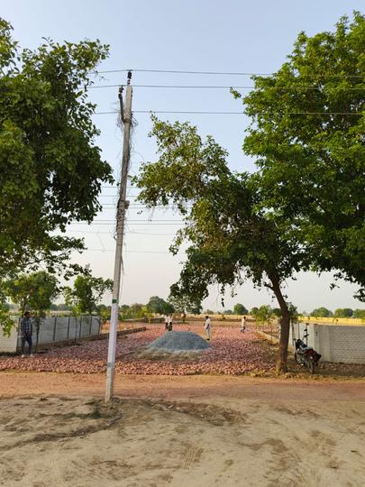 Rohta Main Image 1