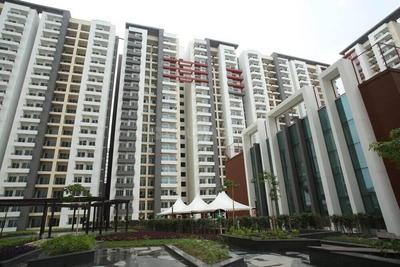 3 BHK Flat