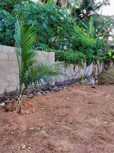 Kaimanam Plot View 1