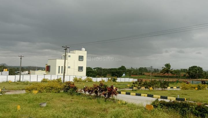 Eg garden  Main Image 1