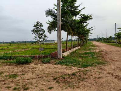 Image of 1741 Sq.ft Residential Plot / Land for sale in Krishna Vatika, Phulnakhara, Cuttack, Phulnakhara, Cuttack for Rs. 2100000
