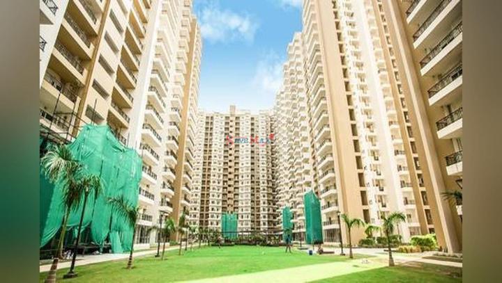 Gulshan Ikebana Main Image 1