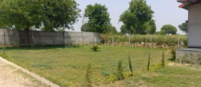 Image of 900 Sq.ft Residential Plot / Land for sale in Sunrakh Bangar, Vrindavan for Rs. 1700000